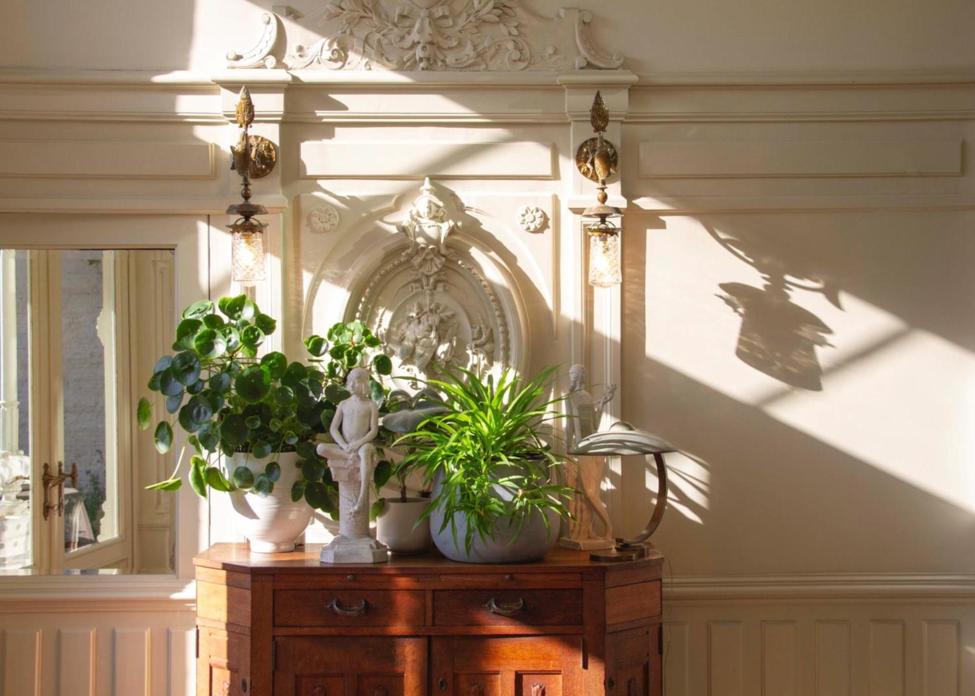 Huis Dujardin Bed&Breakfast Anversa Esterno foto
