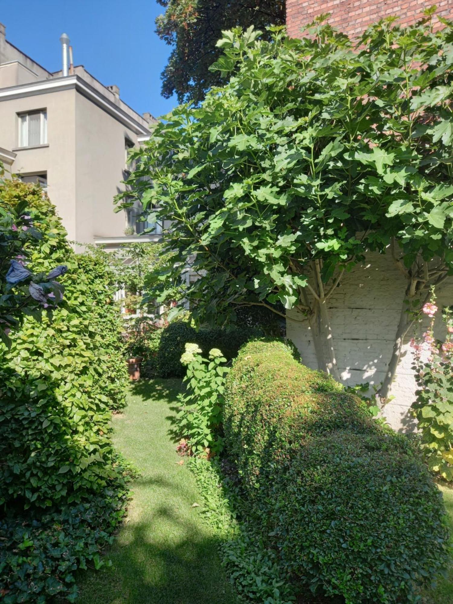 Huis Dujardin Bed&Breakfast Anversa Esterno foto