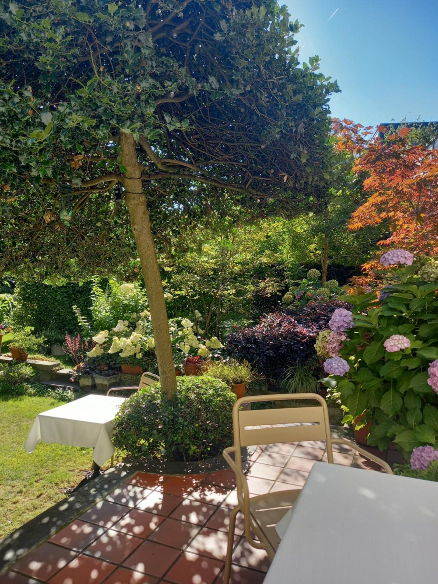 Huis Dujardin Bed&Breakfast Anversa Esterno foto