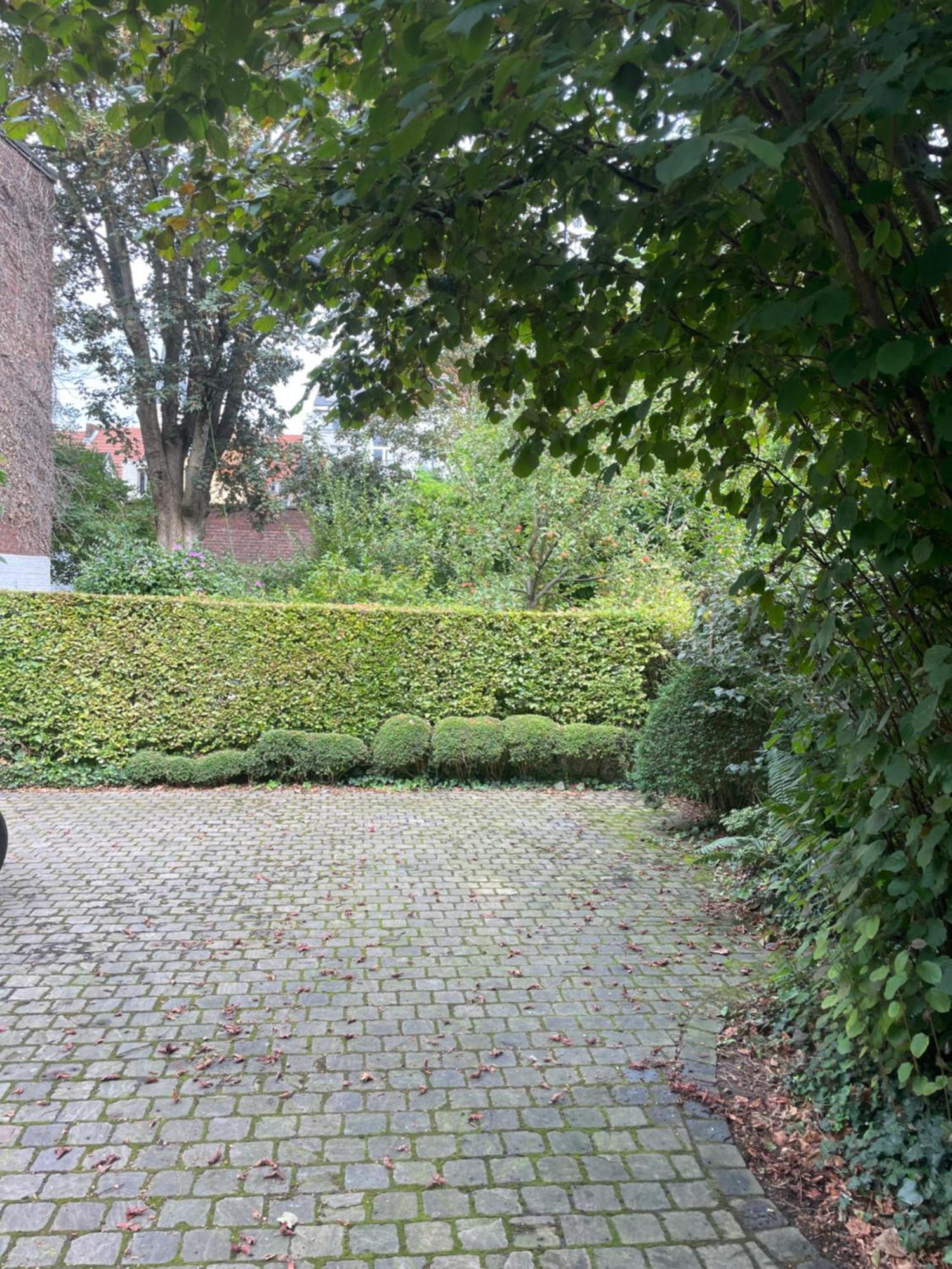 Huis Dujardin Bed&Breakfast Anversa Esterno foto