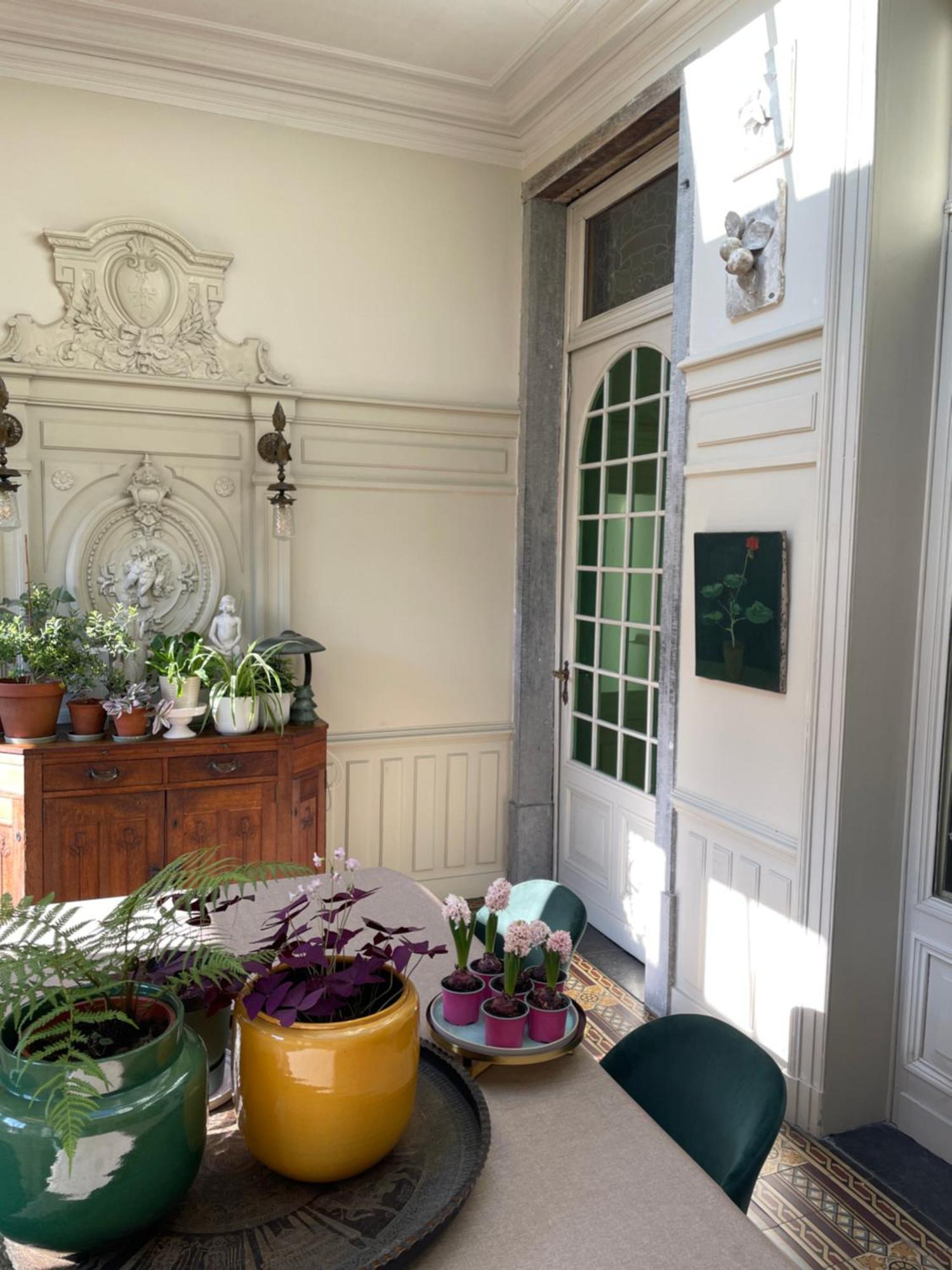 Huis Dujardin Bed&Breakfast Anversa Esterno foto