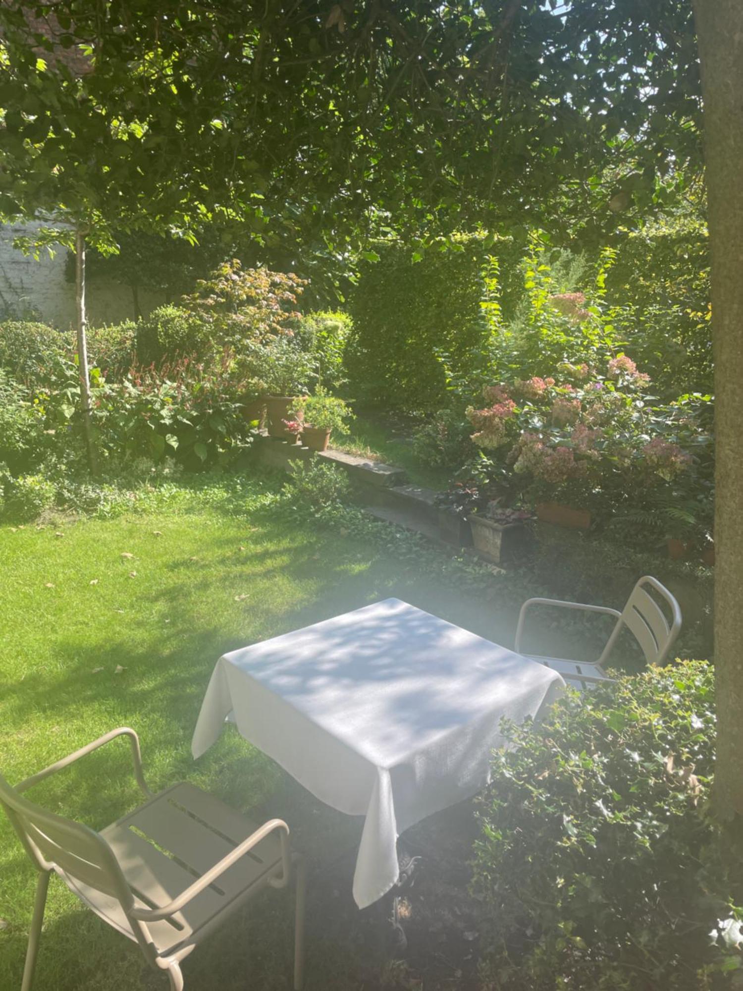 Huis Dujardin Bed&Breakfast Anversa Esterno foto